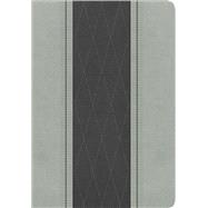RVR 1960 Biblia Letra Grande Tamaño Manual, gris claro/gris carbón símil piel 9781433644993