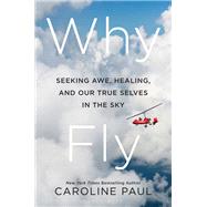 Why Fly
