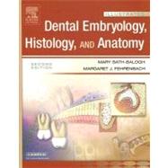 Tooth Embryology