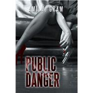 Public Danger 9781796045031