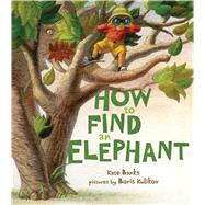 How to Find an Elephant 9780374335083