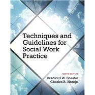 Techniques and Guidelines for Social Work Practice 9780205965106