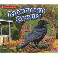 American Crows 9781491485156