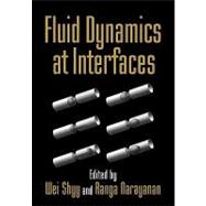 Fluid Dynamics at Interfaces