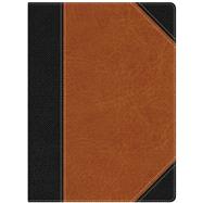 HCSB Study Bible, Black/Brown LeatherTouch 9781433605161