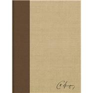 Santa Biblia / Holy Bible 9781535915175