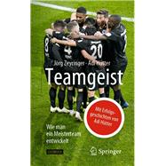 Teamgeist 9783662595220