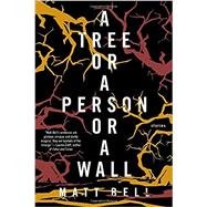 A Tree or a Person or a Wall: Stories 9781616955236