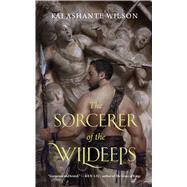 The Sorcerer of the Wildeeps 9780765385246