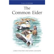 The Common Eider 9781408125328