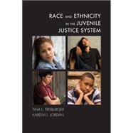 Race and Ethnicity in the Juvenile Justice System 9781611635348