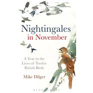Nightingales in November A Year in the Lives of Twelve British Birds 9781472915351
