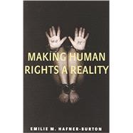 Making Human Rights a Reality 9780691155364