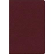NKJV Study Bible 9780529115386