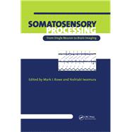 Somatosensory Processing