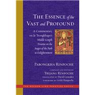 The Essence of the Vast and Profound 9781614295419