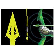 Absolute Green Arrow 9781401255480
