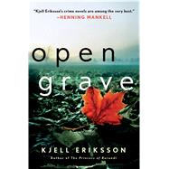 Open Grave A Mystery 9781250025494