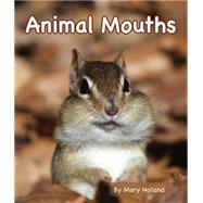 Animal Mouths 9781628555523