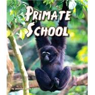 Primate School 9781628555554