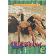 Tarantulas