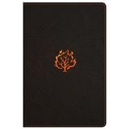 I Am Bible, Black LeatherTouch, Indexed 9781433645587