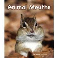 Animal Mouths 9781628555615