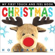 Christmas Holiday Fun 9781589255623