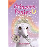 Princess Ponies 7: A Special Surprise 9781619635654