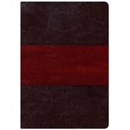 Holman Study Bible: NKJV Large Print Edition, Saddle Brown LeatherTouch Indexed 9781433615658