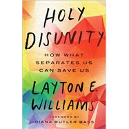Holy Disunity 9780664265663