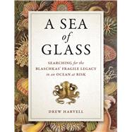 A Sea of Glass 9780520285682