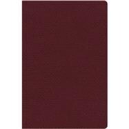 NKJV Study Bible 9780529115683