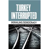 Turkey Interrupted: Derailing Democracy 9781935295693