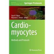 Cardiomyocytes