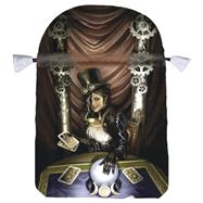 Steampunk High Priestess Satin Tarot Bag 9780738735719