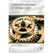 Understanding Juvenile Law 9781531005719