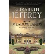 Meadowlands: A World War I Family Saga 9781847515728