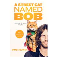 A Street Cat Named Bob And How He Saved My Life 9781250135735