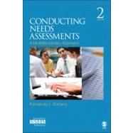 Conducting Needs Assessments : A Multidisciplinary Approach 9781412965743