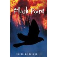 Flash Point