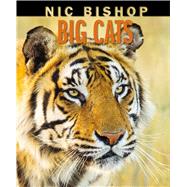 Big Cats 9780545605779