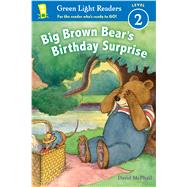 Big Brown Bear's Birthday Surprise 9781328895790
