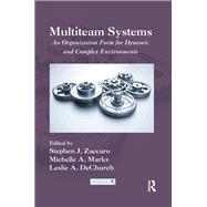 Multiteam Systems