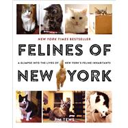 Felines of New York A Glimpse Into the Lives of New York's Feline Inhabitants 9781501125836