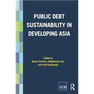Public Debt Sustainability in Developing Asia 9780415705837