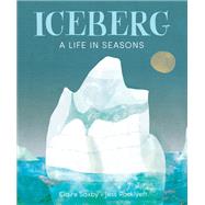 Iceberg