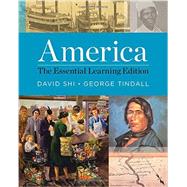 America 9780393935875
