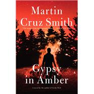 Gypsy in Amber 9781476795881