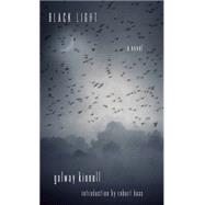 Black Light A Novel 9781619025899
